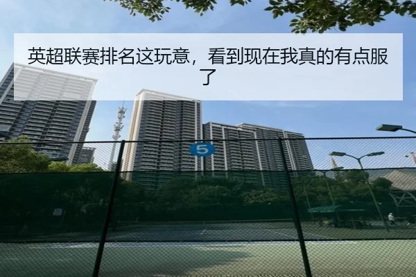 英超联赛排名这玩意，看到现在我真的有点服了