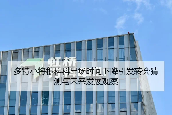 多特小将穆科科出场时间下降引发转会猜测与未来发展观察