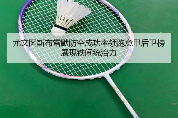 尤文图斯布雷默防空成功率领跑意甲后卫榜展现铁闸统治力