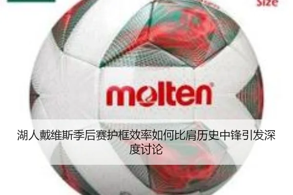 湖人戴维斯季后赛护框效率如何比肩历史中锋引发深度讨论