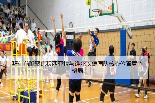 拜仁前瞻聚焦穆西亚拉与维尔茨德国队核心位置竞争格局