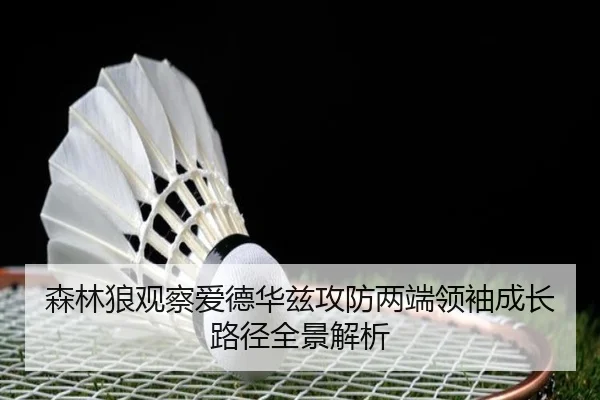 森林狼观察爱德华兹攻防两端领袖成长路径全景解析