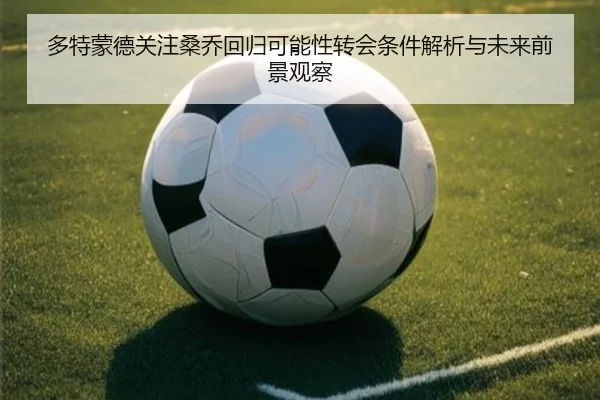 多特蒙德关注桑乔回归可能性转会条件解析与未来前景观察