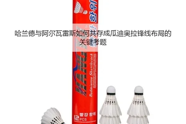 哈兰德与阿尔瓦雷斯如何共存成瓜迪奥拉锋线布局的关键考题