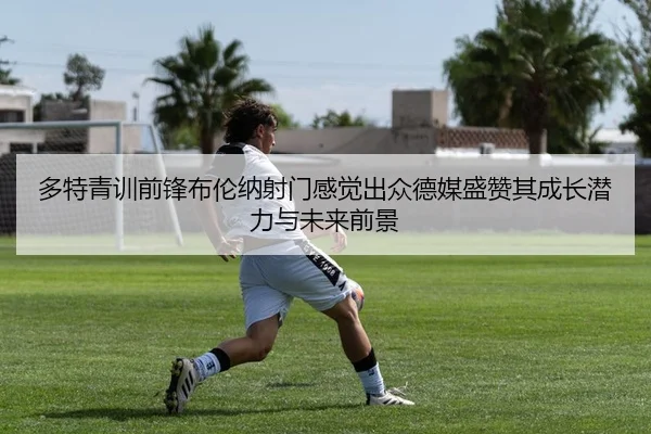 多特青训前锋布伦纳射门感觉出众德媒盛赞其成长潜力与未来前景
